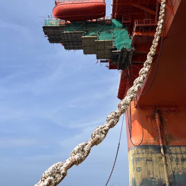 betterships-IMG_6463-uai-720x720